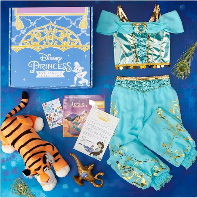 Disney Princess Subscription Box Gift