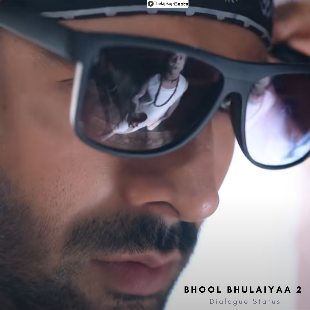 Bhool Bhulaiyaa 2 Dialogue Status Video Download - Thekipkop Beats