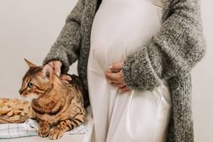 Virus Toksoplasma Pada Kucing, Penyebab Kemandulan ?