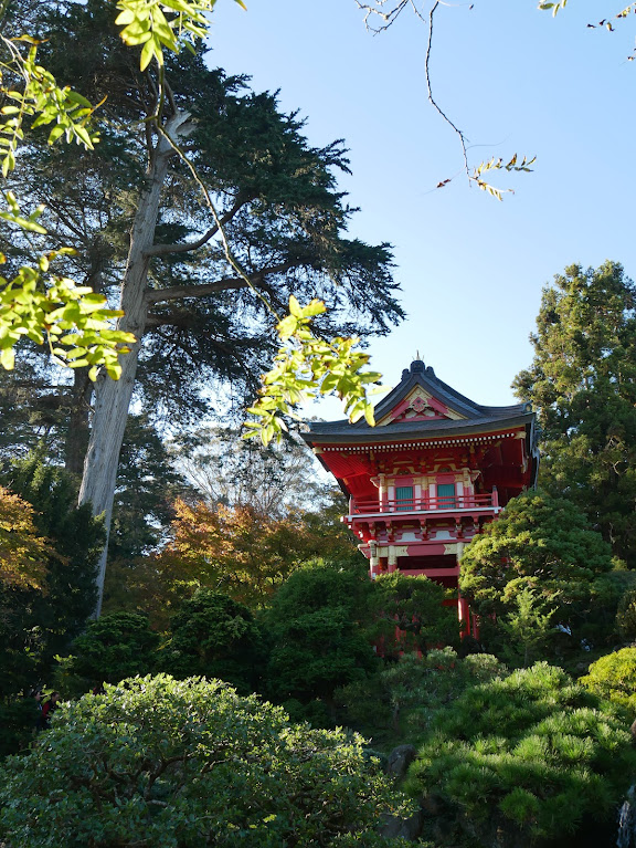 Golden Gate Park