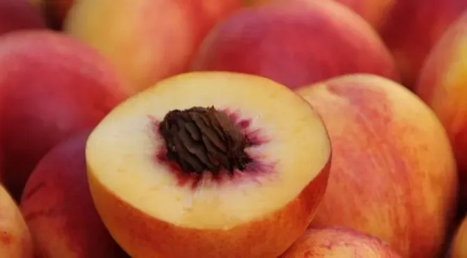 Is peach good for weight loss