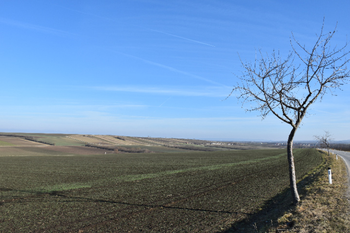 Blick auf Diepolz