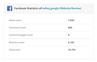 safety.google Domain Review