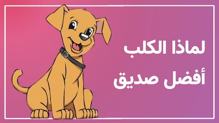 لماذا الكلب أفضل صديق