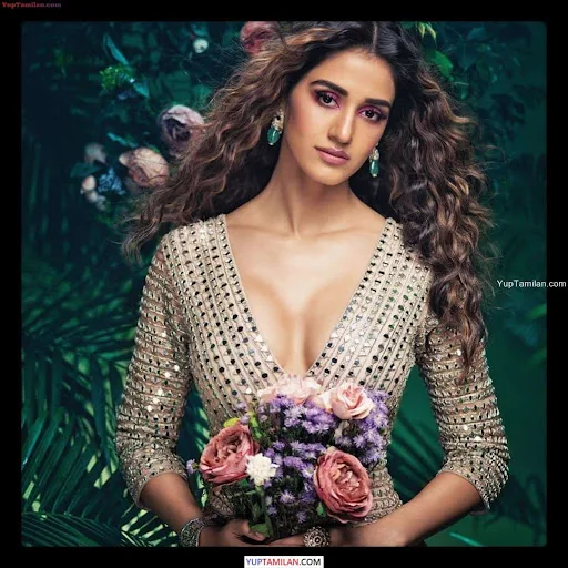 Disha Patani Sexy Bikini and Lingerie Photos