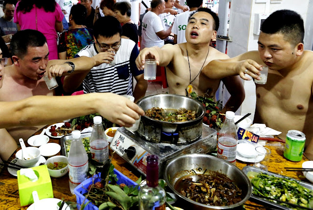 Ежегодный фестиваль поедания собак в китайской провинции Юйлинь