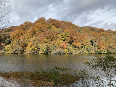 十二湖 落口の池