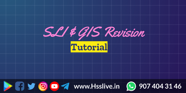 How to revise SLI & GIS: Tutorial, Application Forms