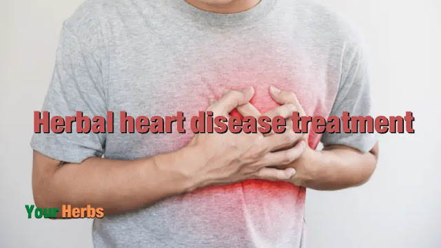 You can rely on herbal heart disease treatment because it is one of the safe methods that must be under the supervision and control of a doctor who specializes in herbal medicine to avoid harm to health.