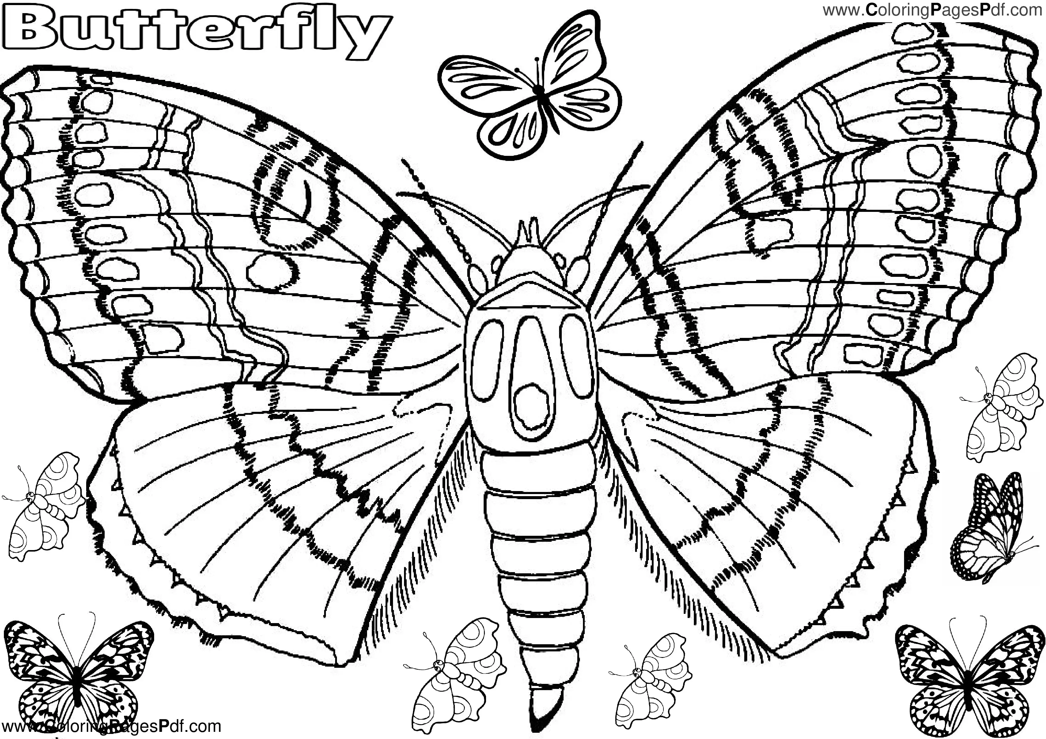 Simple Butterfly Coloring Pages