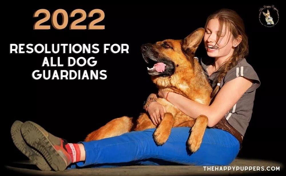 2022 resolutions for all dog guardians