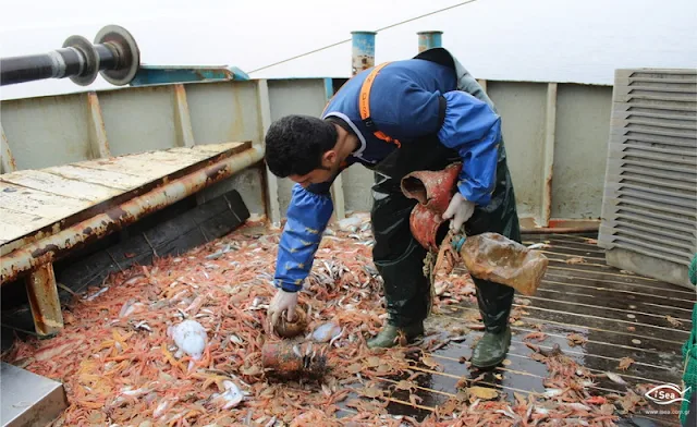 40 αλιείς μηχανότρατας «ψάρεψαν» πάνω από 24 τόνους απορριμμάτων
