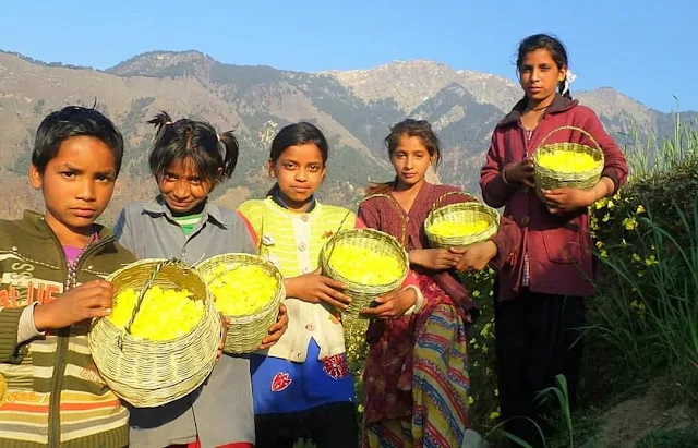 fulari-uttarakhand