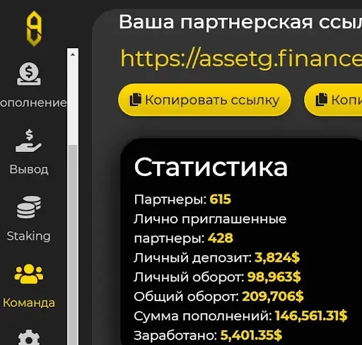 Оборот структуры AssetG