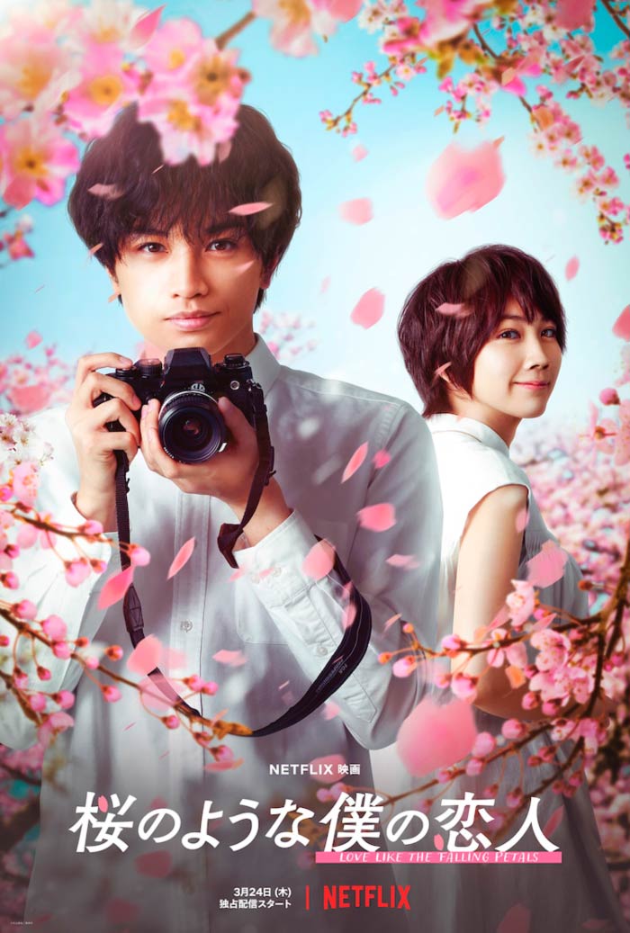 Efímera como la flor del cerezo (Sakura no Yona Boku no Koibito) film - Yoshihiro Fukagawa - Netflix - poster