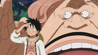 ワンピースアニメ WCI編 794話 パウンド ルフィ Monkey D. Luffy | ONE PIECE Episode 794