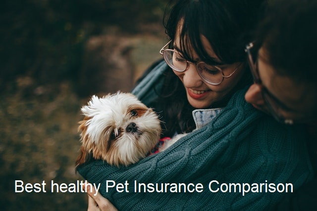 Best healthy Pet Insurance Comparison