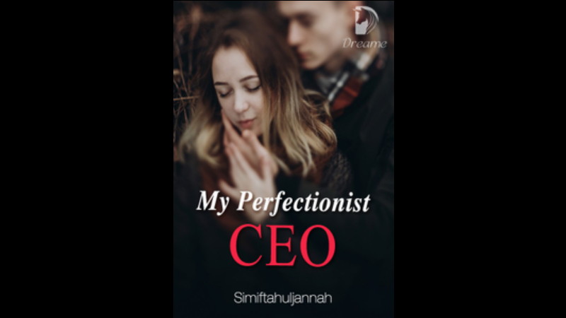 Novel My Perfectionist CEO