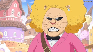 ワンピースアニメ WCI編 816話 ミンク族 ペコムズ Pekoms | ONE PIECE Episode 816