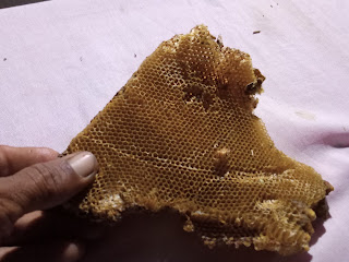 Honeycomb image