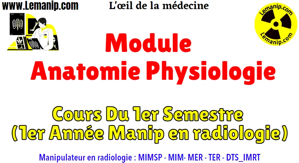 Cours Anatomie physiologie