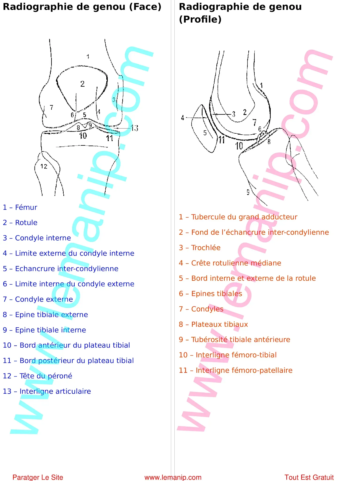 knee doctor,ball joint centre,short femur in fetus,lower ball joint replacement near me,intramedullary femur,femur pain after hip replacement,broken femur during hip replacement,medial patellofemoral ligament,mid thigh pain after hip replacement,knee dr