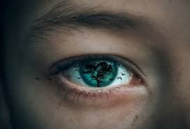 Biblical Meaning of Eyes in Dreams