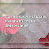 Frases Aniversário 🎁🥳🎀 Gospel Mensagem Evangelicas