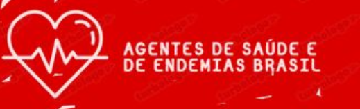 Agentes Comunitários de Saúde e Agentes de Combate às Endemias Brasil