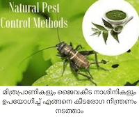 Natural Pest Control Methods