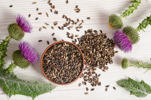 Benefits and Side Effects of Milk Thistle