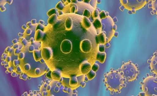 Coronavirus death toll rises to 23