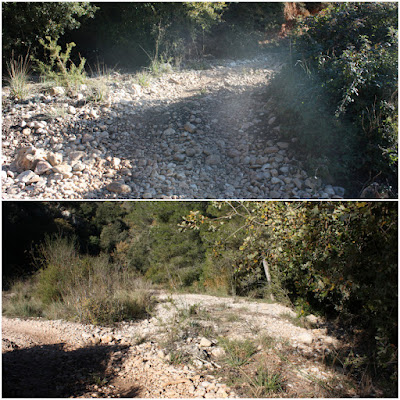 GR-7 Cabra del Camp a Vallespinosa, Camí de Cabra del Camp a Vallespinosa al pas pel Torrent de Collmagí