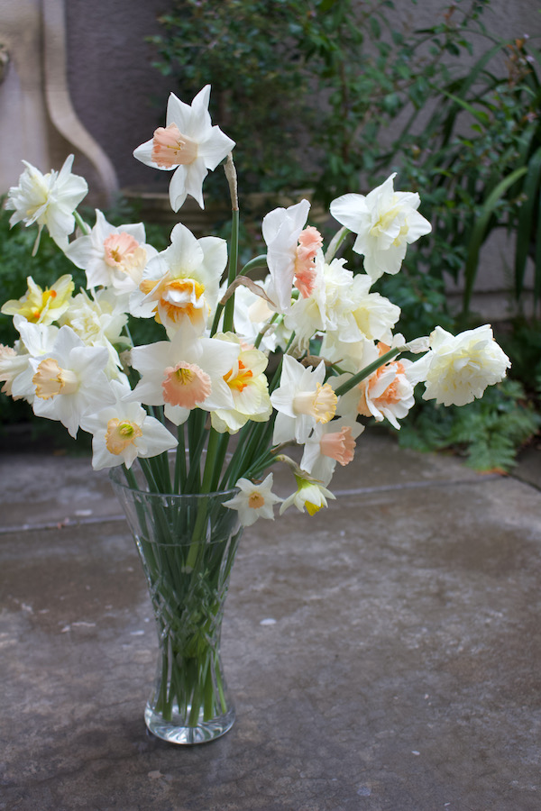 Daffodils of Spring- www.gildedbloom.com