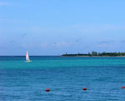 hoobie cat catamaran sailing on the sea