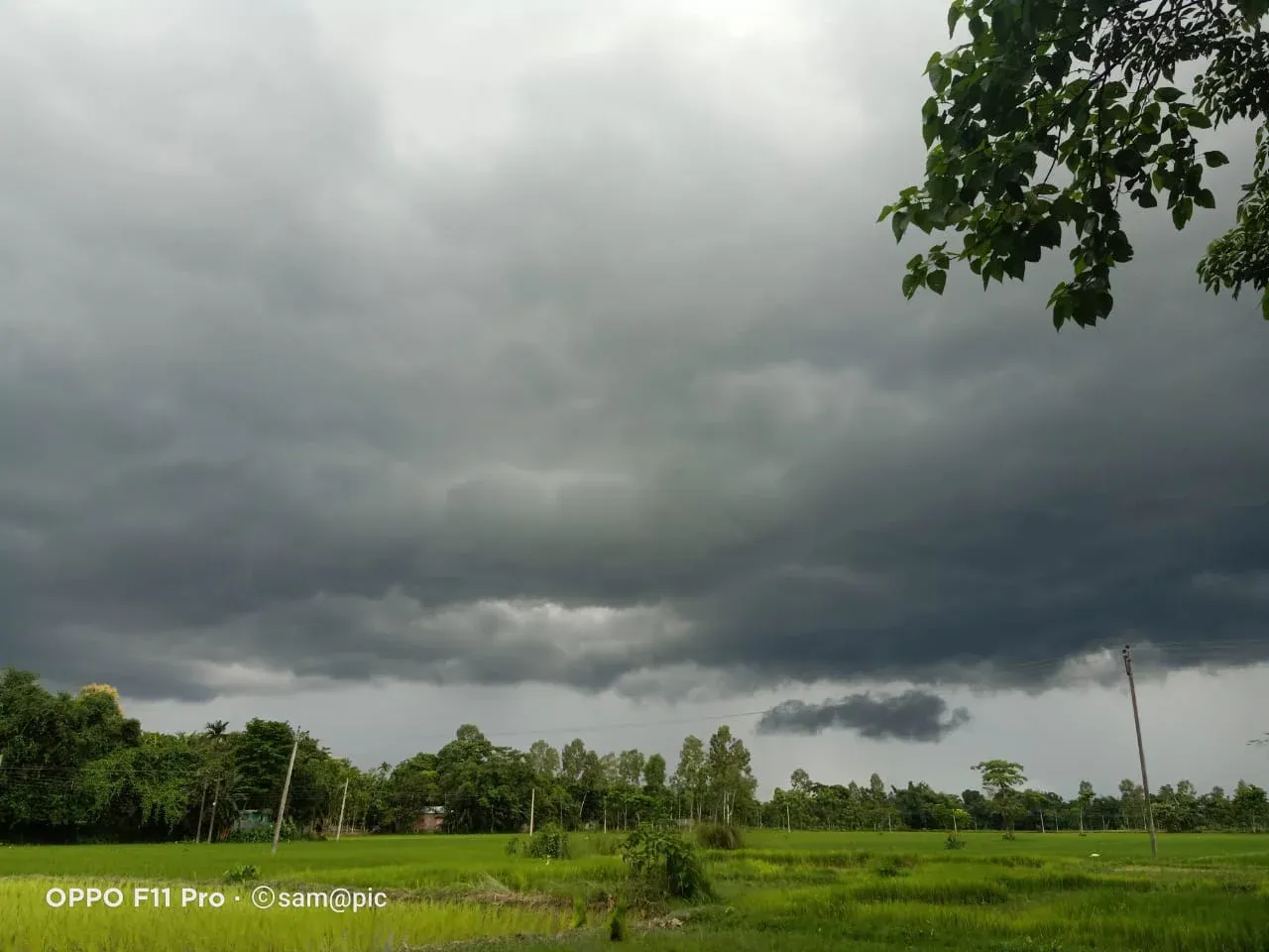 North Bengal Weather Update