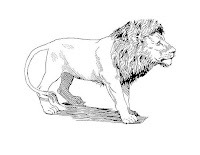 Lions printable coloring pages
