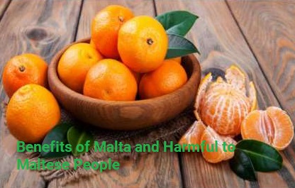 Benefits of Malta and Harmful to Maltese People | Today Latest Health Tips&Tricks