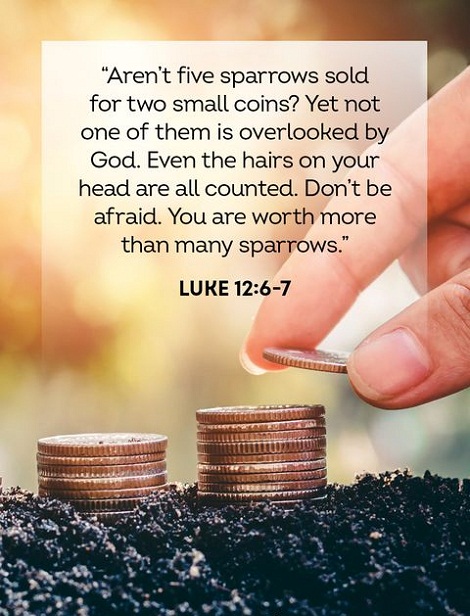 Bible Verses About Money