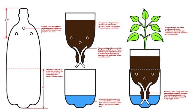 cara-menanam-tanaman-hidroponik-sistem-wick