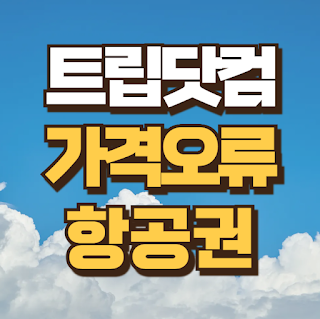 트립닷컴 가격 오류 항공권 티켓 예약해도 되나요?