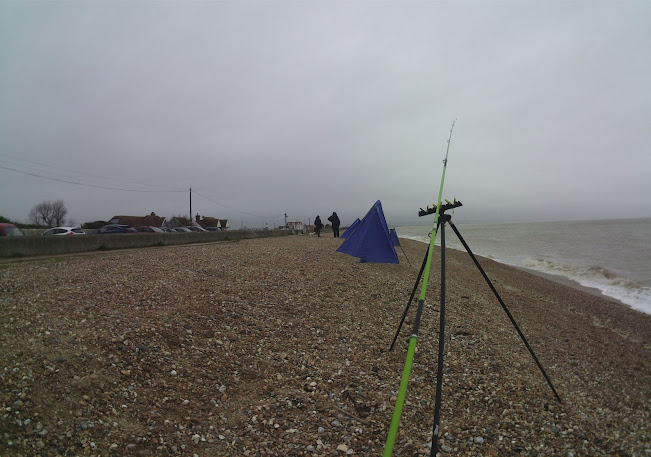 Seagull Fishing Tackle Fishing at Dungeness: Beach Catch Reports
