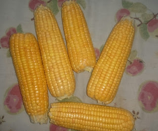 Corn cobs