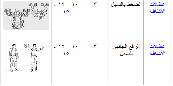 برنامج تدريب جيم للمبتدئين