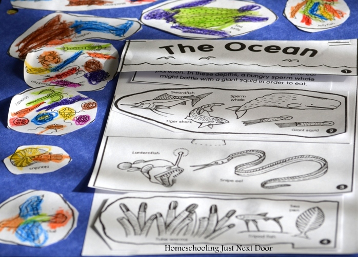 called When children puzzle  biomes finished worked  they animal early, on floor worksheets a