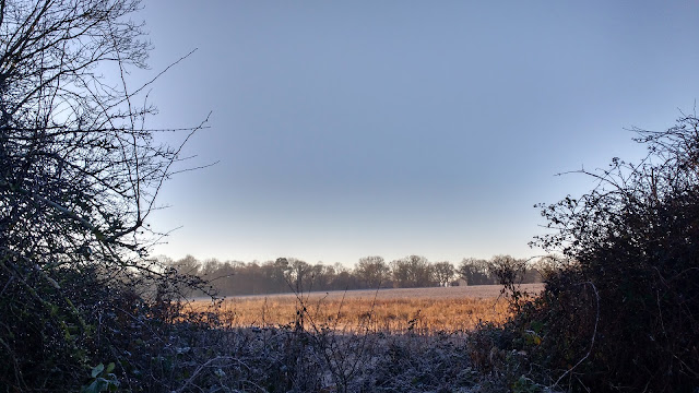 midwinter frost in Norfolk countryside