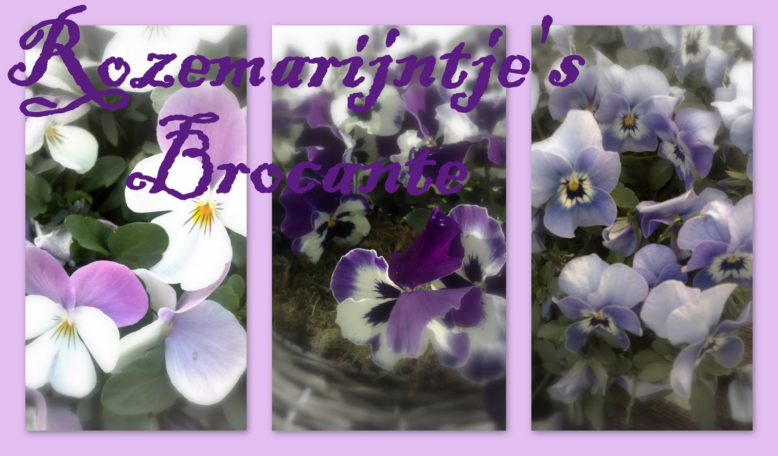 Rozemarijntje's Brocante