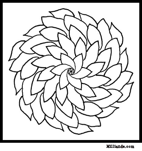 Fleurs Flowers Coloring Pages