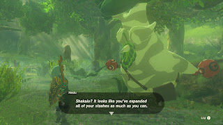 Hestu: "Shakalo? It looks like you've expanded all of your stashes as much as you can."