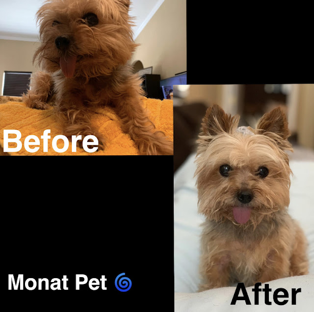 monat before and after | monat products | monat market partner | monat business | monat skin care | monat market partner recruiting